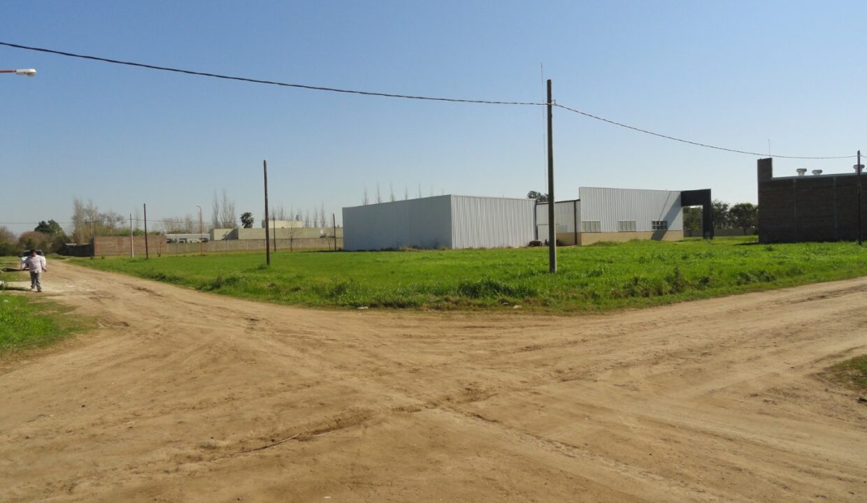 DSC01007
