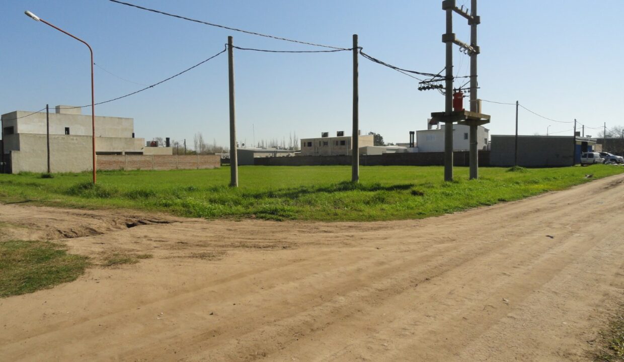 DSC01008