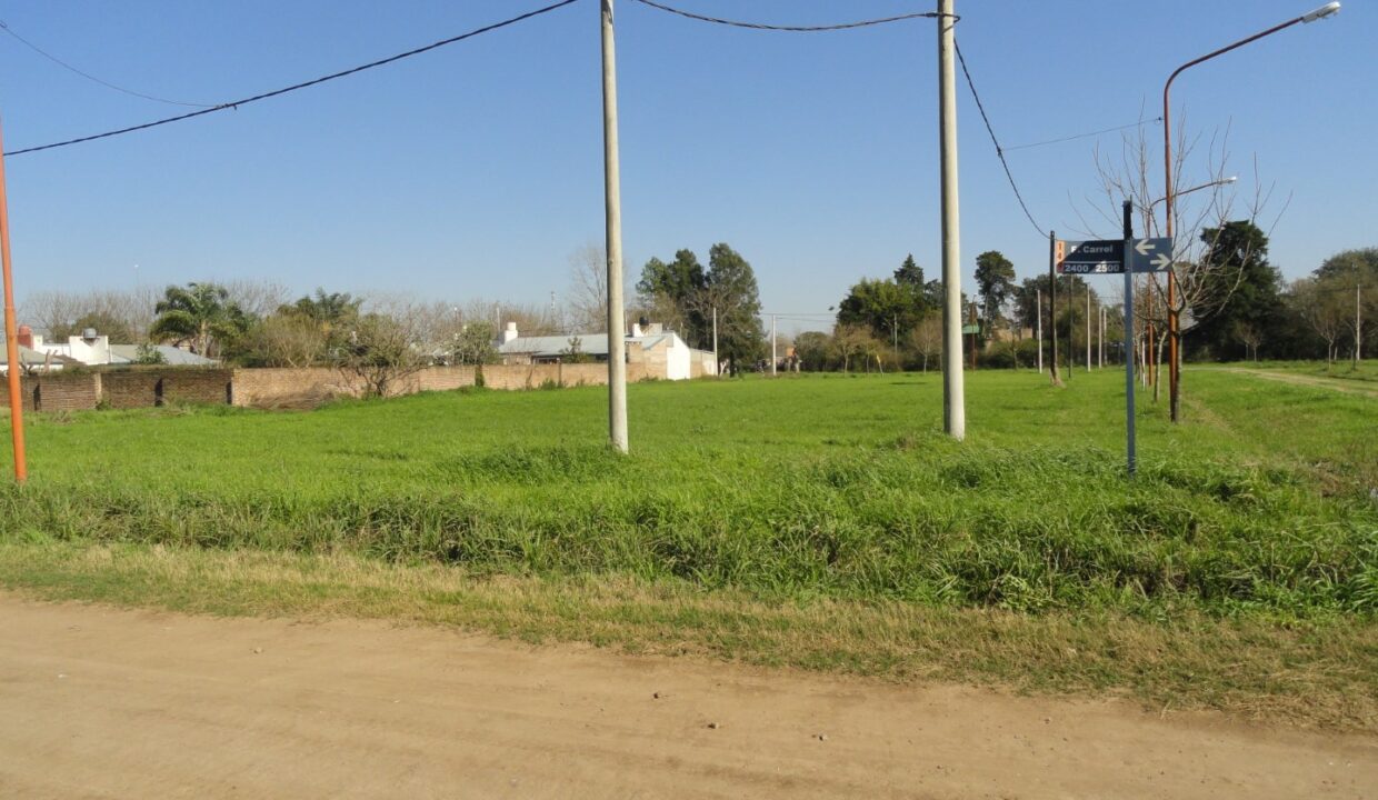 DSC01009