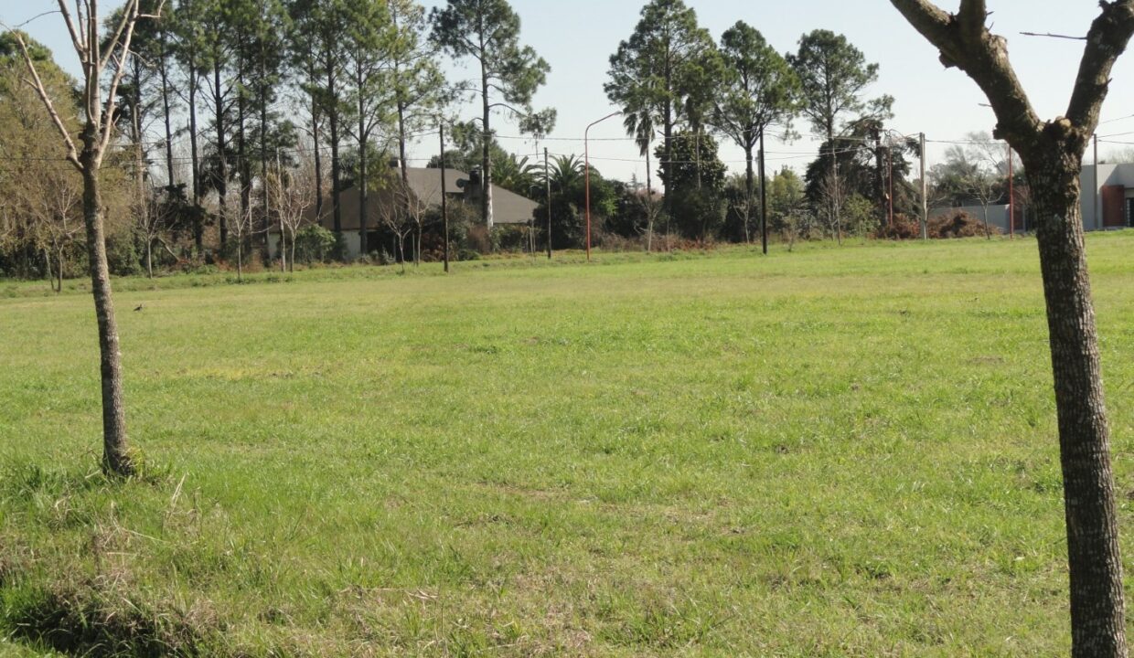 DSC01010