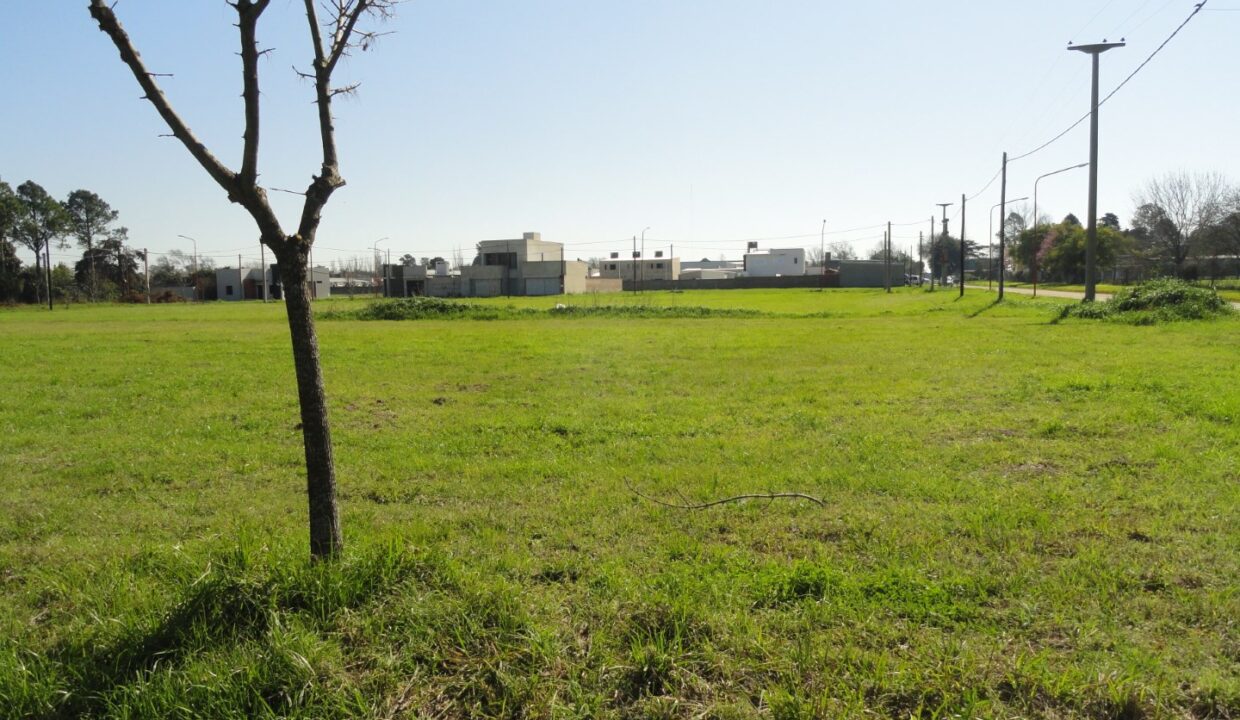 DSC01011