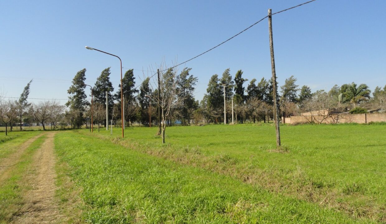 DSC01012