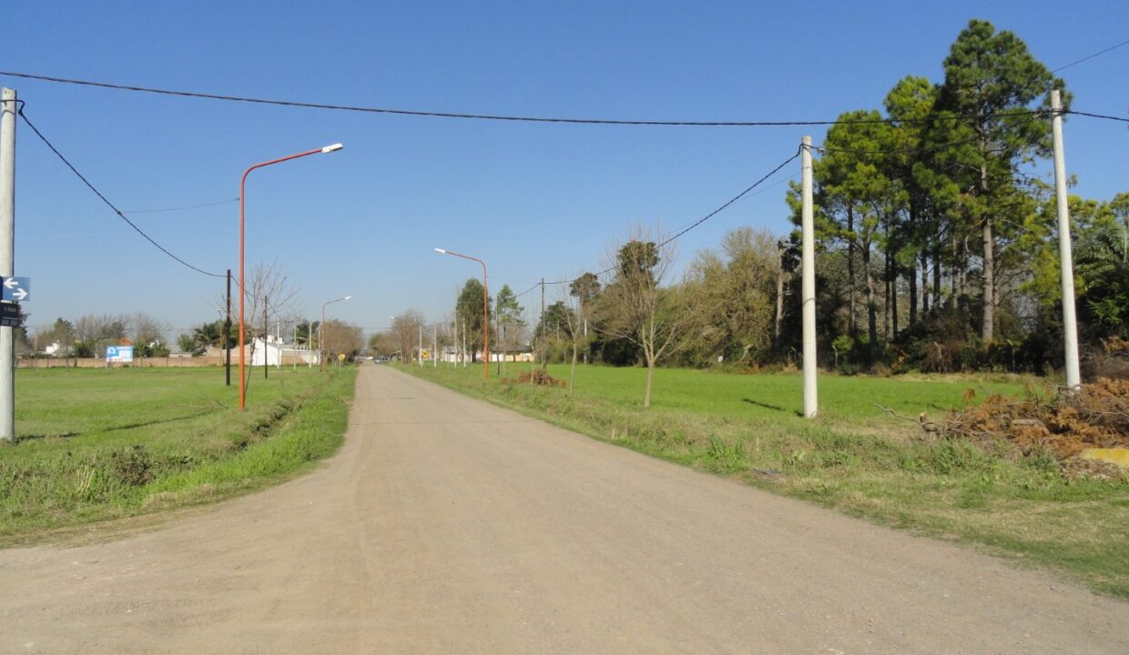 DSC01014