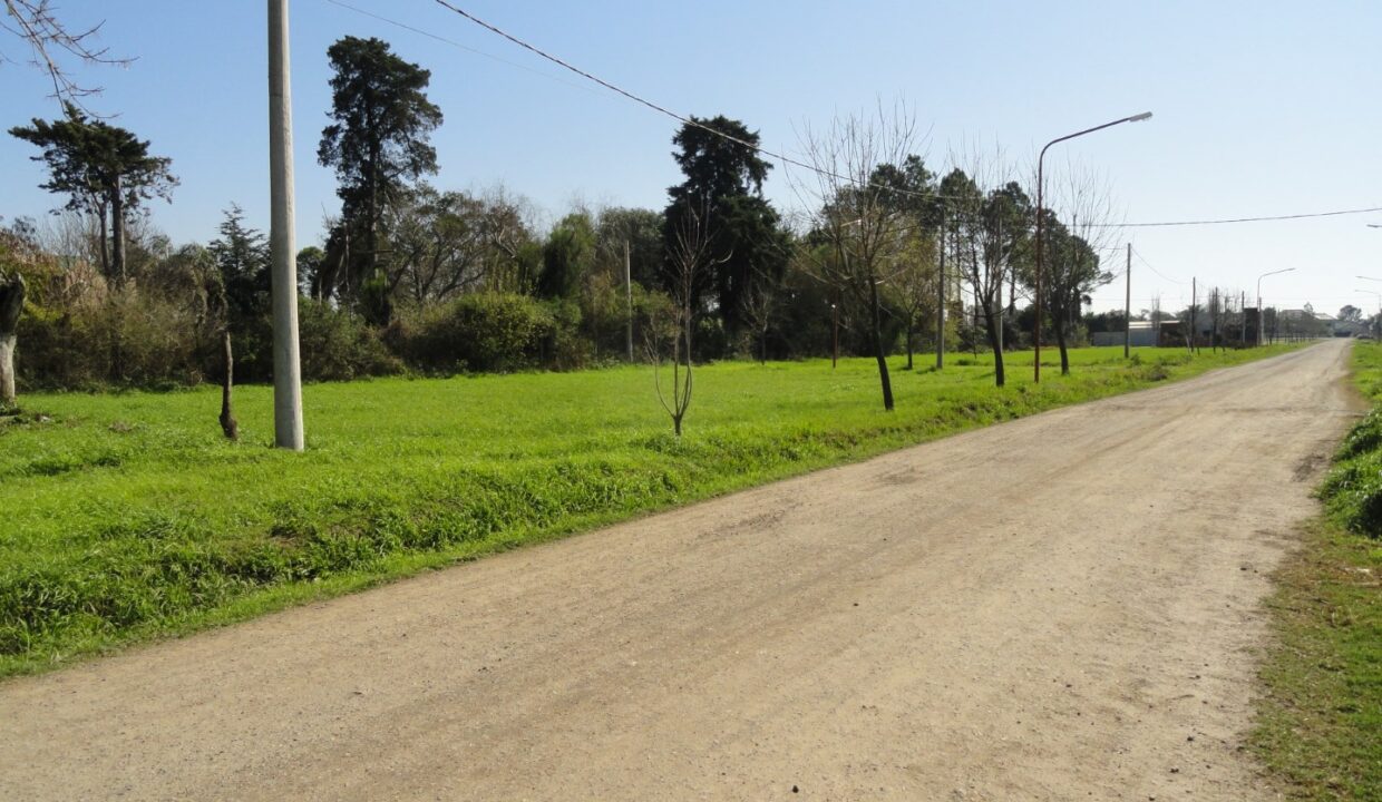 DSC01015