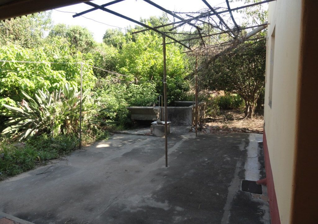 DSC05706