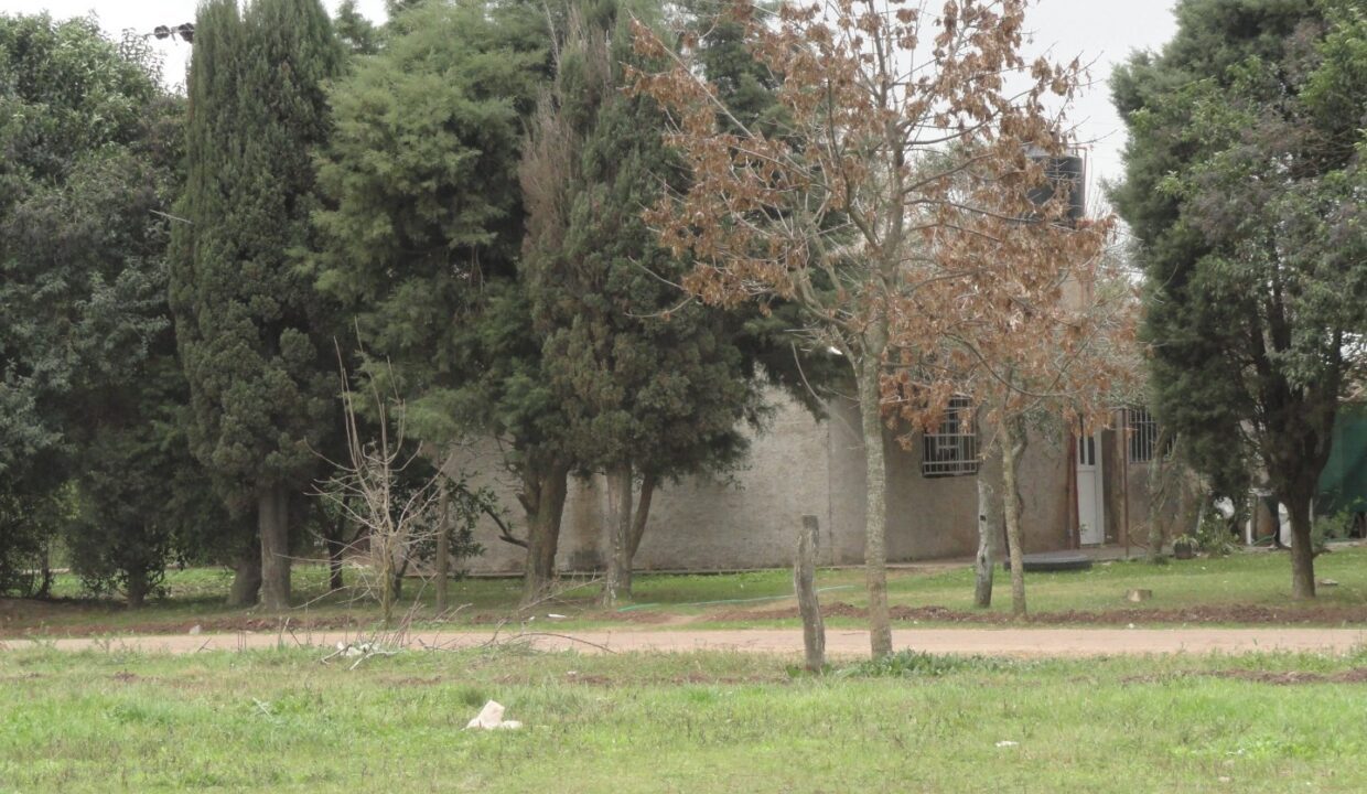 DSC08547