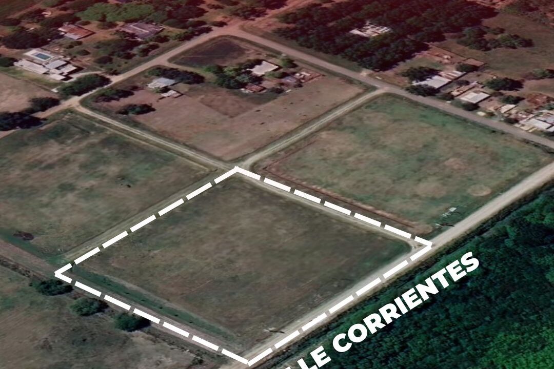 WhatsApp Image 2026-04-25 at 10.59.28