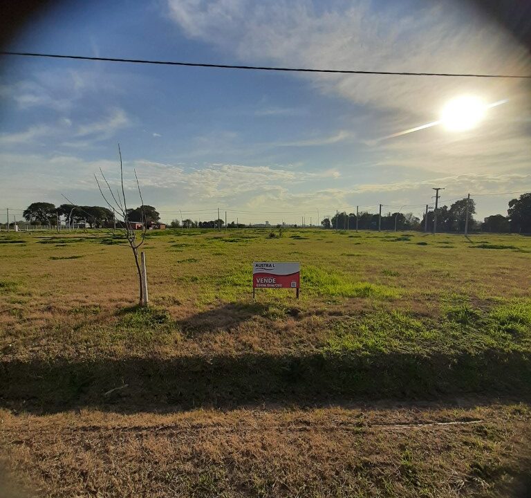 20260716_094209