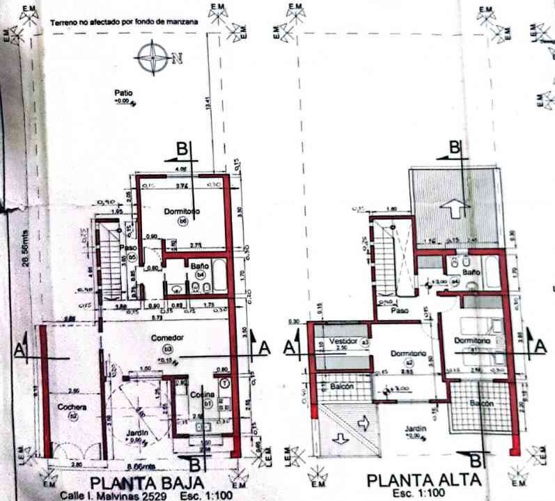 planta plano