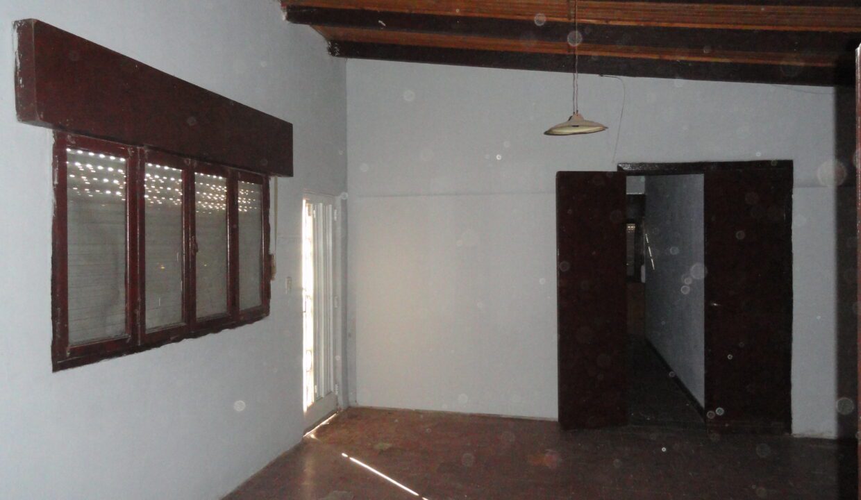 DSC00810