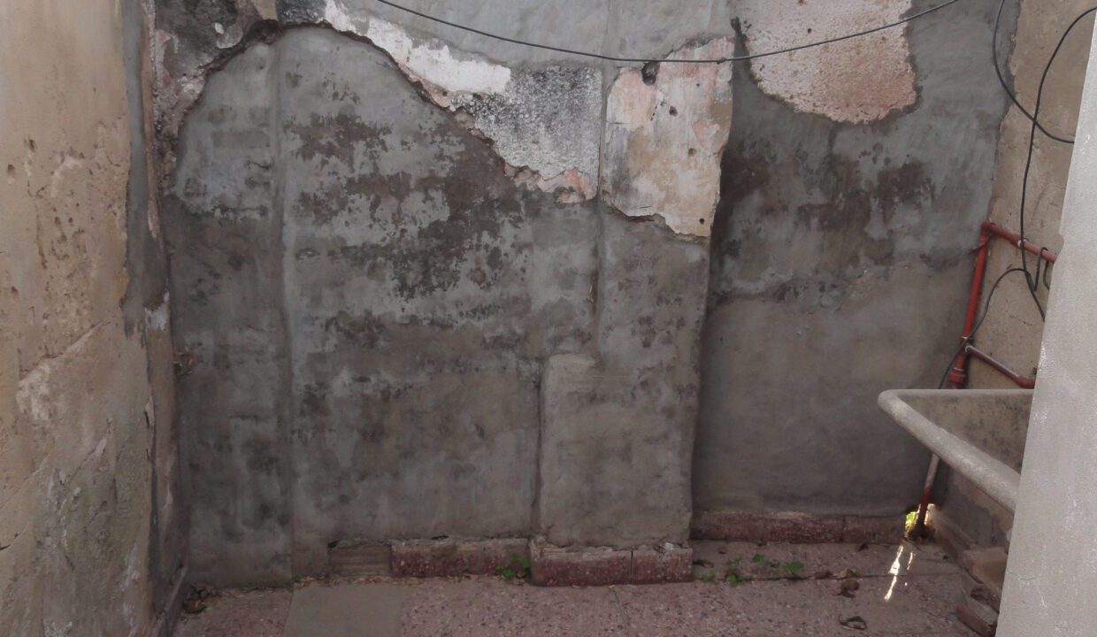 DSC00818