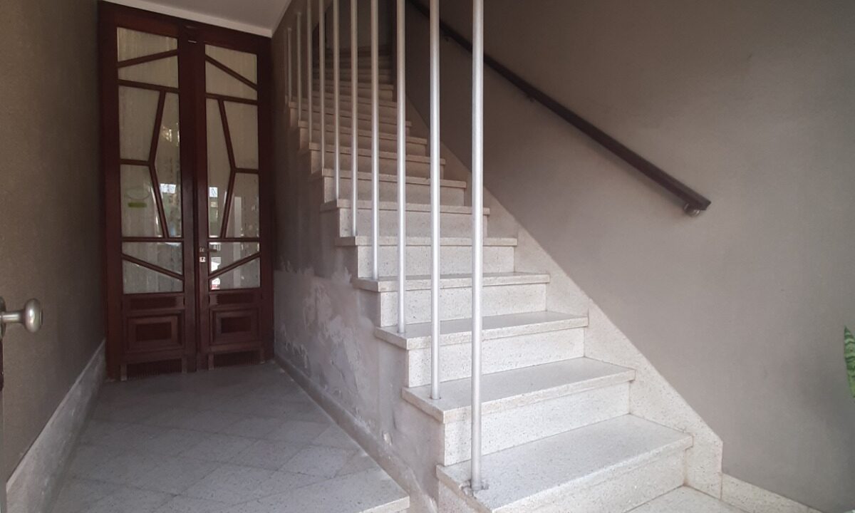 WhatsApp Image 2026-08-18 at 15.20.49