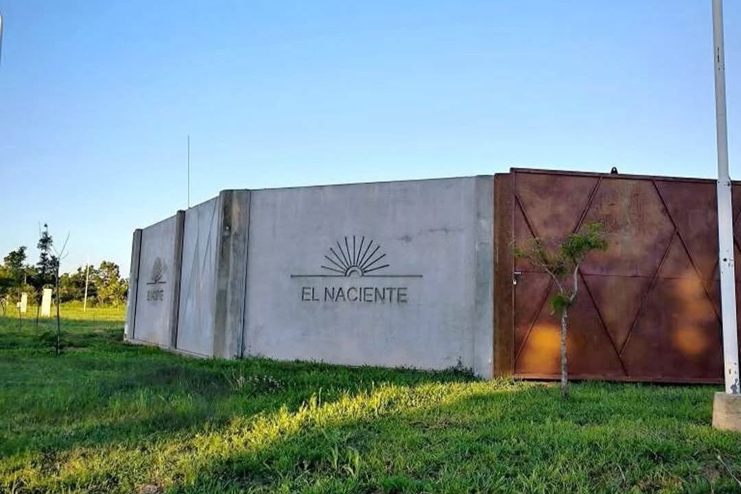 el naciente